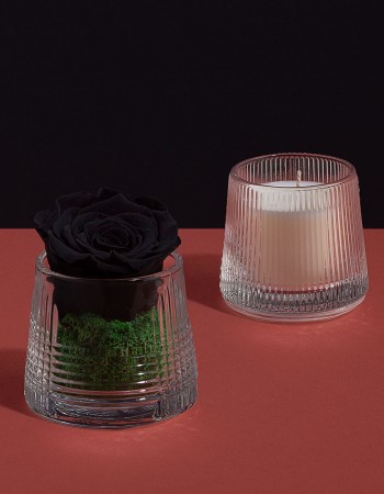ورد طبيعي اسود مع شمعة معطرة ورد طبيعي اسود مع شمعة معطرة