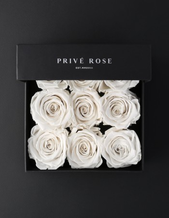 بوكس ورد طبيعي دائم أبيض بريفي روز PRW21 بوكس ورد طبيعي دائم أبيض بريفي روز PRW21