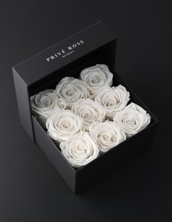 بوكس ورد طبيعي دائم أبيض بريفي روز PRW21 بوكس ورد طبيعي دائم أبيض بريفي روز PRW21