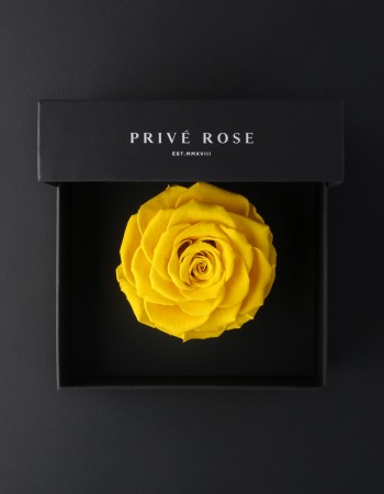 وردة طبيعية دائمة أصفر بريفي روز PRY15 وردة طبيعية دائمة أصفر بريفي روز PRY15