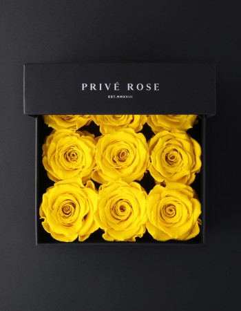 بوكس ورد طبيعي دائم أصفر بريفي روز PRY25 بوكس ورد طبيعي دائم أصفر بريفي روز PRY25