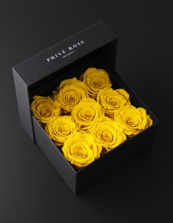 بوكس ورد طبيعي دائم أصفر بريفي روز PRY25 بوكس ورد طبيعي دائم أصفر بريفي روز PRY25